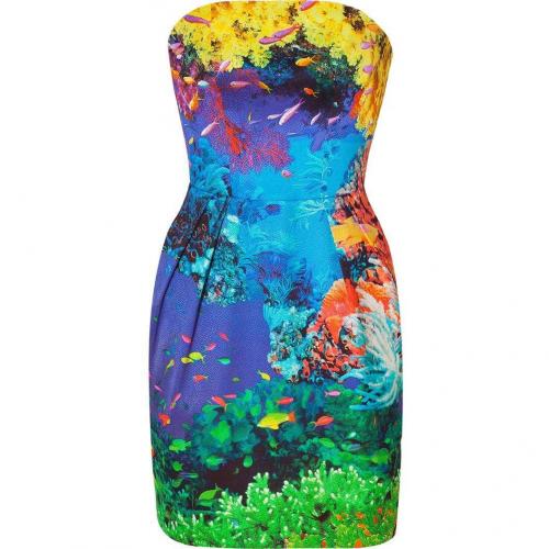 Mary Katrantzou Coral Reef Strapless Puff Dress