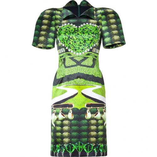 Mary Katrantzou Jade Garden Tea Party Print Dress