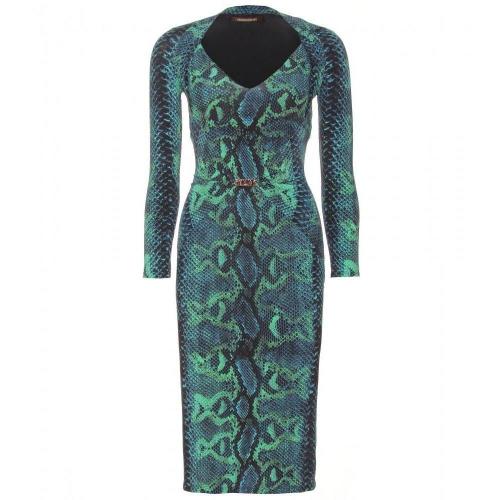 Roberto Cavalli Stretch-Kleid Mit Snake-Print Grün