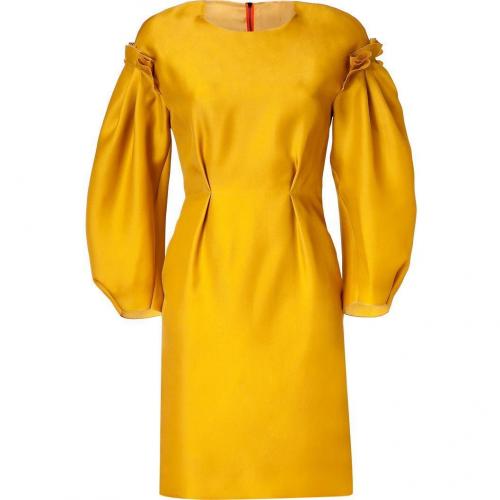 Roksanda Ilincic Mustard Organza Dress